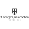 St George's Junior School custom wrap Time Capsules UK